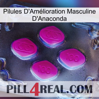 Anaconda Male Enhancement Pills 02